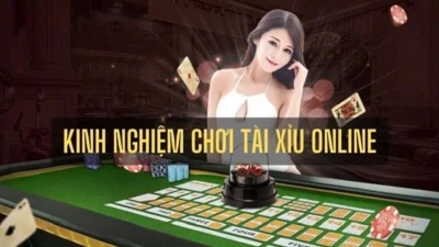 Kinh nghiệm chơi tài xỉu online từ cao thủ bạn cần biết