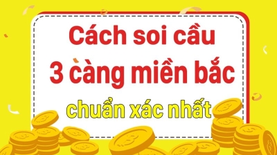 Mẹo soi 3 càng miền Bắc cho người mới cực hiệu quả!